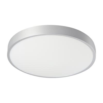 China Surface Mounted 2022 Simple Silver Waterproof Modern Ceiling Lamp IP54 Mounted Ceiling Lamp for sale