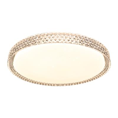 China Surface Mounted 2022 New Design Hot Selling Home Indoor Ceiling Light Light for sale