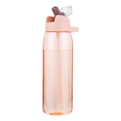 China Eco Friendly Water Bottle Tritan Plastic Drinking Bottle Portable Sports Bottle Tea Bottle for sale