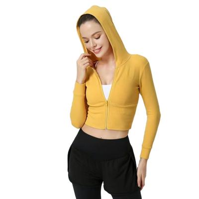 China Breathable Women Fashion Solid Color Zipper Long Sleeve Yoga Jacket Cropped Hoodies Sweatshirts Ladies Crop Top for sale