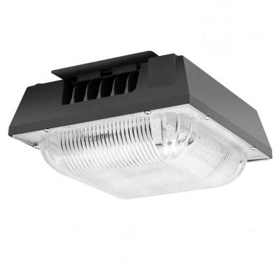 China Sports stadiums 50w 80w 100W 120W led price gasoline for sale gas station lighting 50 watt led canopy light for sale