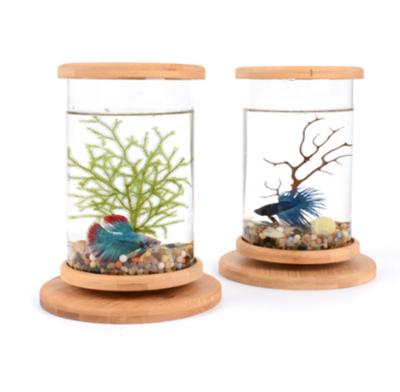 China Micro Volume Tank Sight Bedroom Aquarium Mini Betta Fish Tank Transparent Glass Viable Hardened Rotary Bowl for sale