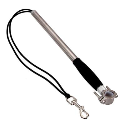 China Viable Manufacturers Selling Stainless Steel Bicycle Leash Dog Bike Walking Leash for sale