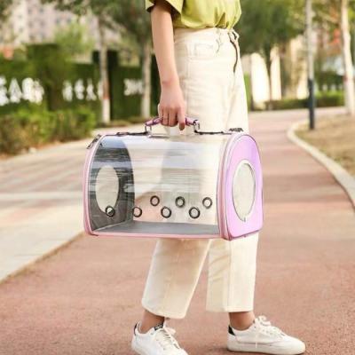 China Design Dog Cat Travel Walking Shoulder Bag Transparent Breathable Carriers Bag for sale