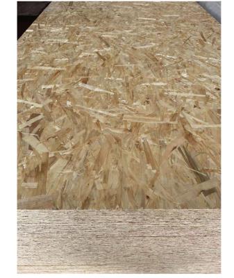 China Wholesale Cheap Price Modern Size1220*2440,1250*2500mm Poplar Eucalyptus Hardwood Pine From Manufacturer Or Combi 12/15mm Thick On Sale for sale