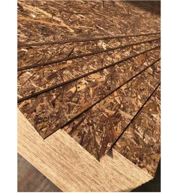 China Modern High Quality Cheap Price Size4*8 Poplar Eucalyptus Hardwood Pine Or Combi Core WBP Bond Surface 11/12/13/15mmFor Thickness for sale