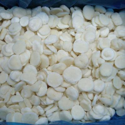 China Frozen water chestnut from new culture iqf frozen Vegetable FROZEN for sale