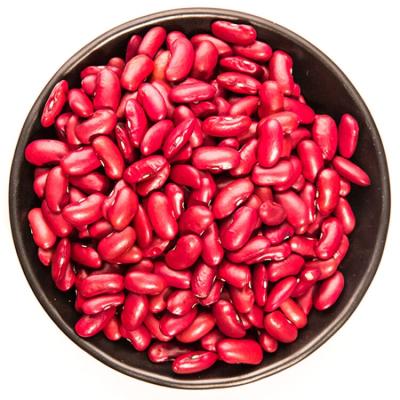 China Gluten Free Kidney Beans Canned Vegetable Healthy Safe High Quality Canned Red Kidney Beans for sale