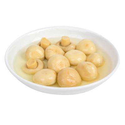 China Best Selling OEM Canned Whole Salt Added Good Fresh Tasty Pizza Raw Material Canned Mushroom Material for sale