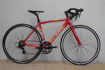 China Made in China red steel 540mm frame 700c thin tube road bicycle/bicicle with Shimano 14 speed for sale