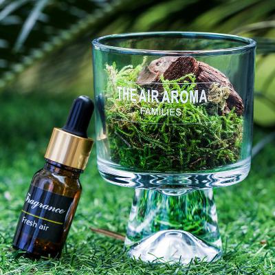 China Gift Box Packaging End 100ml Nature-Inspired Moss Oil Diffuser for Keeping Air Fresh for sale