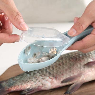 China Upgrade Your Seafood Game with Melamine Plastic Fish Scales Scraper and Storage Box for sale