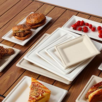 China Upgrade Your Dining Experience with Biodegradable Bagasse Disposable Dinnerware Set for sale