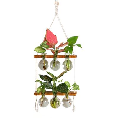 China 2-Tiered Wooden Planter Stand for Terrarium Wall Hanging and Indoor Bonsai Propagation for sale