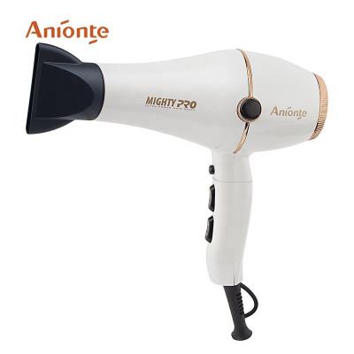 China Hot Sale 1800W-200W AC Motor Ionic Professional Hair Dryer for sale