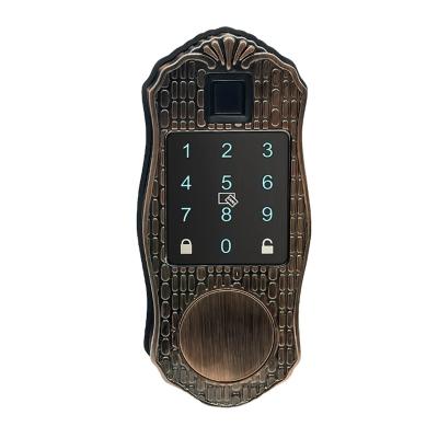 China New Listing 2021 Biometric Password Smart Door Lock Smart Lock A11 for sale