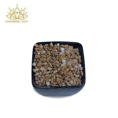 China CLASSIC Succulent And Cactus Maifanitum Stones Horticulture Bonsai Top Dressing MaiFan Stone for Succulent Water Filter for sale