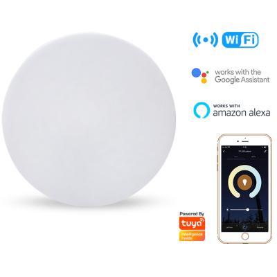 China Dimmable Modern Smart Remote Control Nordic Round Mounted Modern Kitchen Indoor Living Room Bedroom Home Lamp Led Ceiling Light for sale