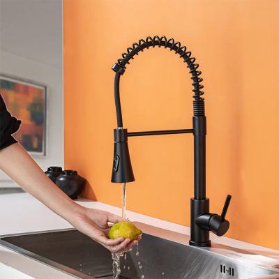 China Pull Out Spray SUS 304 Stainless Steel Black Flexible Kitchen Sink Faucet For Kitchen Sink for sale