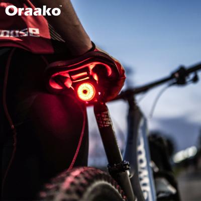 China Bicycle Cycling Taillights Smart Bicycle Lights Bike Rear Light Sensor Indicator Led Light Rechargeable Taillight for sale