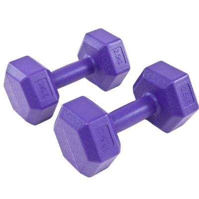 China Hexagonal Cast Rubber Covered Hexagonal Rubber Covered Dumbbell Gym Dumbbell Weight Neoprene Hex Free Dumbbell for sale