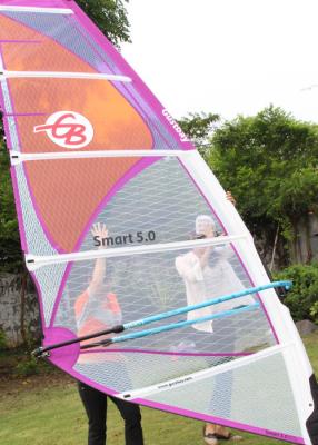 China Smart 4.5 Polyester Durable Wind Surf Sail Lightweight 5 Batten with Adjustable Darcon Head for sale