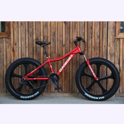 China 2018 popular in 24inch 26inch snow bike / running adult mountain bike for sale for sale