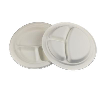 China Disposable Compostable Food Packaging Food Container Bagasse Tableware Sets Biodegradable for sale