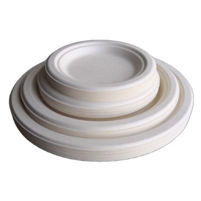 China Traditional Party Supplies Disposable Dinner Plate Set Disposable Disposable Plates Paper Plates for sale