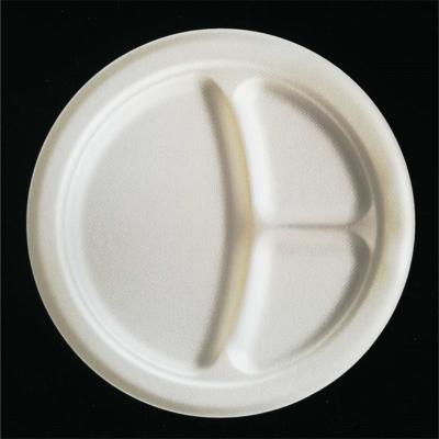 China Disposable Hot Custom Foldable Bio Container Paper Food Bare Paper Plates for sale