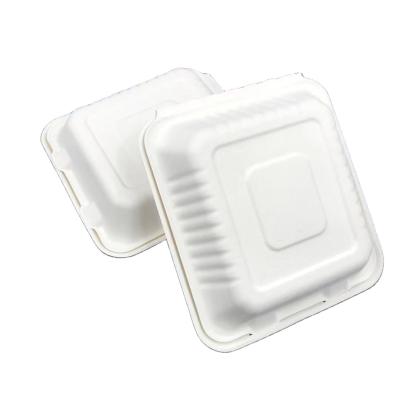 China 8 Inch Clamshell Food Bento Containers Biodegradable Microwavable Disposable Food Storage Bento Lunch Boxes for sale