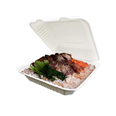 China Disposable Compostable Disposable Sugarcane Pulp Clamshell Bagasse Molding Packaging for sale