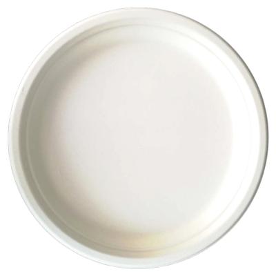 China High Quality Disposable Natural Sugar Cane Pulp Dishes Biodegradable Bagasse Tableware For Restaurant for sale