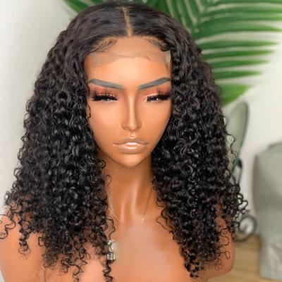 China Other Cheap Peruvian Curly Curly Hair Wig Grade 12A Virgin Human Hair Lace Wig Other Sellers for sale