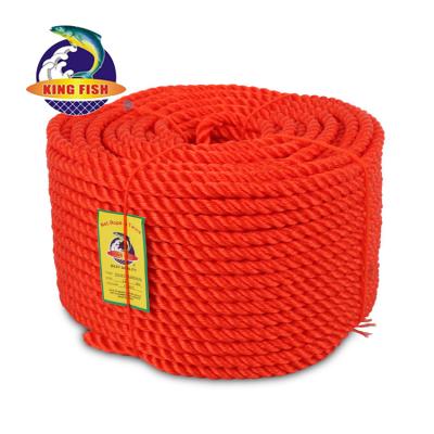 China Corrosio Resistant Tear Resistant Thick colored polyester 5mm nylon colored poly dacron double braided 5 6 8mm Polyethylene rope twine for sale