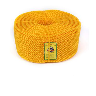 China Corrosio Resistant Tear Resistant Rot Resistant Heavy Duty Rope Easy To Handle Polyethylene Rope With OEM Service for sale