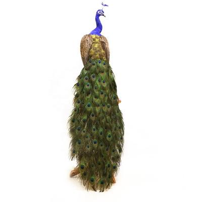 China High Grade Eco - Friendly Customize Peacock Feathers For Window Decoration for sale