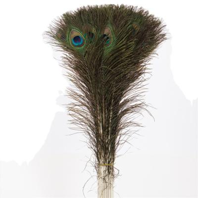 China Handmade manufactures 70-120cm different kinds hot selling natural artificial peacock feather for decoration for sale