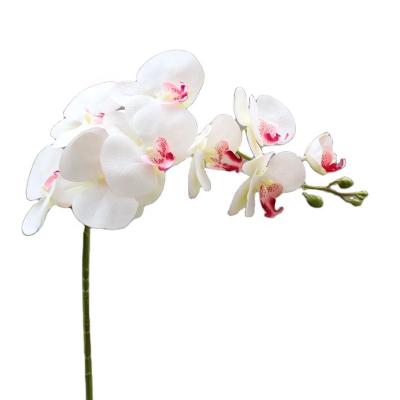 China High Grade Modern New Product 3D Print Real Touch 9 Head Phalaenopsis Orchid For Soft Background Wedding Home Decor. for sale