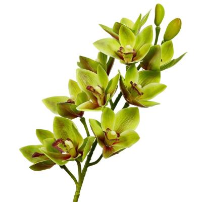 China Eco-friendly 3d Printing High Quality Single Stem Real Touch Artificial Cymbidium Orchid For Wedding Home Decoration for sale