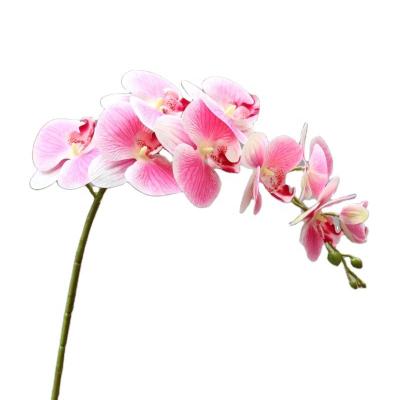 China Wholesale Price High Grade Modern New Product 3D Print 9head Real Touch Phalaenopsis Orchid For Soft Background Wedding Home Decor. for sale