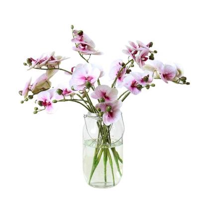 China Indor Decoration New Products Real Touch Phalaenopsis Orchid Flower For Wedding Decoration for sale