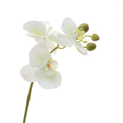 China Natural Touch Silk Butterfly Orchids Plant Real Touch White Phalaenopsis Orchid for Wedding Decoration for sale