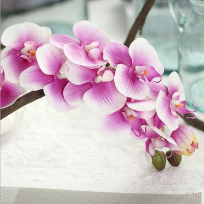 China Price Touch Artificial Flowers Silk Phalaenopsis Orchid 11 Heads Natural Suitable Real Touch For Wedding/Chrismas/New Year Decoration for sale