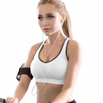 China Wholesale Breathable Seamless Activewear Padded Bra Sports Wear Fitness Bra High Impact Sports Bra for sale