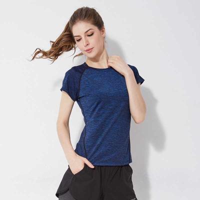 China OEM Wear Yoga Women Yoga Tops Seamless Classic Sportswear Classic Gym Comfortable Running T-Shirt For Ladies for sale