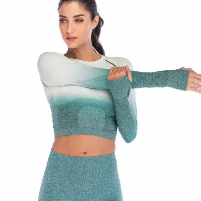 China Women Gradient Shirts Sportswear Fashion Breathable Hot Yoga Tops Breathable Long Sleeve Seamless Yoga Crop Tops Custom Yoga for sale