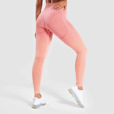 China Seamless Fitness Workout Gaiters High Waist Butt Lift Yoga Pants Breathable Warm Gym Yoga Pants For Women for sale