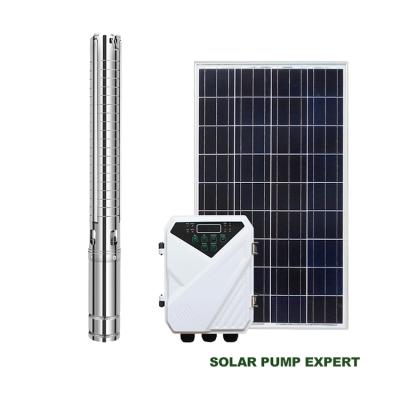 China Irrigation 72v-110v 750w-1500w DC Solar Water Pump OEM Solar Water Pump Submersible for sale