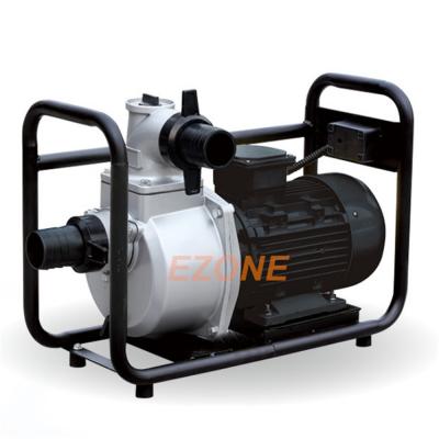 China Taizhou Family Homes Good Quality 2.5KW 3.5hp Electric Water Pump 220V/380V For Sale en venta